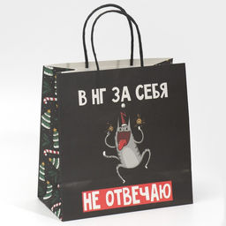 Пакет подарочный Вообще не отвечаю, 22 22 11 см - Дарите счастье фото 3