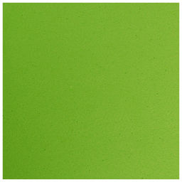 Коврик для йоги Sangh, 183х61х0,7 см, цвет зелёный