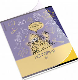 Цена за 5 шт. Тетрадь общая ученическая с пластиковой обложкой на скобе ErichKrause Котоформулы, История, 48 листов, клетка