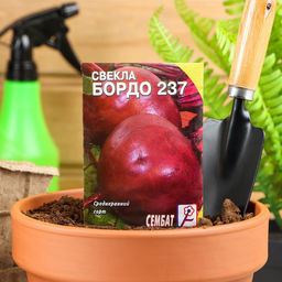Цена за 5 шт. Семена Свекла "Бордо 237", 1 г