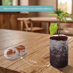 Цена за 2 шт. Таблетки кокосовые, для рассады, d=4 см, с оболочкой, набор 6 шт., Greengo фото 3