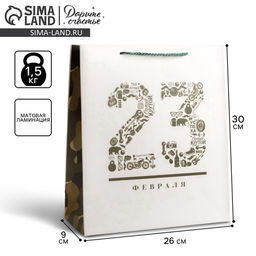 Цена за 2 шт. Пакет подарочный ламинированный, упаковка, «23 февраля», M 26×30×9 см