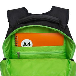 RB-450-3 Рюкзак школьный - Grizzly фото 24