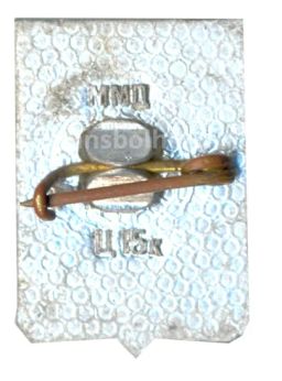 Значок Суздаль