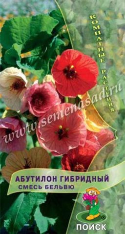 Абутилон гибридный Смесь Бельвю (ЦВ) (К) 0,1гр.