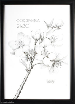 Фоторамка 21x30 /1503-014/,ф