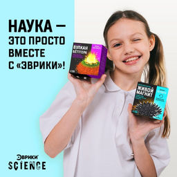 Набор для опытов Живой магнит - Эврики фото 4