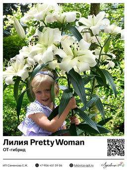 Лилия Pretty Woman (ОТ-гибрид)