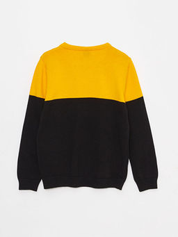 Bisiklet Yaka Renk Bloklu Uzun Kollu Erkek ?ocuk Triko Kazak - Waikiki фото 2