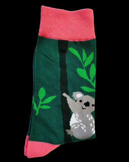 Носки р.35-40 Cute Animals Коала - Krumpy фото 3