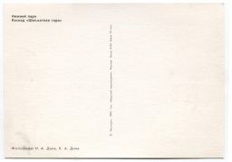 Открытка Петродворец Нижний парк. Каскад Шахматная гора