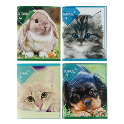 Тетрадь 96 листов в клетку Calligrata Домашние животные, обложка мелованный картон, блок офсет, МИКС