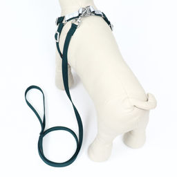 Комплект Sport+, М, поводок 120 x 1,5 см, ОШ 44-48 см, ОГ 51-60 см, вес животного 14-20 кг, зелёный - Пижон фото 3
