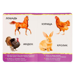 Книжка картонная Домашние животные 10 стр., МИКС - Буква-ленд фото 3
