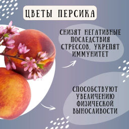 Камлёвъ Фруктовый зеленый листовой чай "Черничный", 48 г (16 саше)