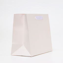 Цена за 2 шт. Пакет подарочный ламинированный «Белый», MS 23×18×10 см