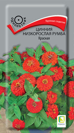 Цинния низкорослая Румба Красная (ЦВ) (1) 0,1гр - Поиск фото 2