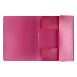 Expert Complete Trend ICEberries Папка на резинке A4 600 мкм 35 мм лён 1 шт. брусника EC210420070