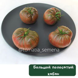 Большой полосатый кабан