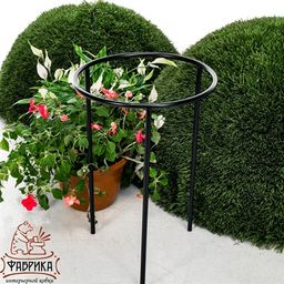 Опора для растений 58-907 - Фабрика интерьерной ковки фото 2
