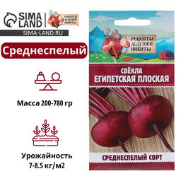 Цена за 6 шт. Семена свёклы Египетская плоская, 2 г