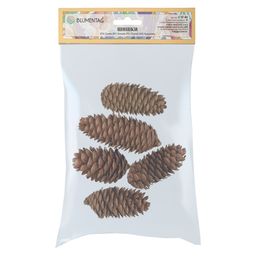 Blumentag CIF-01 Шишки еловые 5 шт. 01 Ель