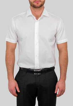 Сорочка мужская короткий рукав GREG 510/109/ALT/ZV  фото 8