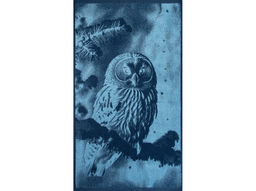 Полотенце махровое 6с103.412ж1 Фото-сова(джинс) 50х90см