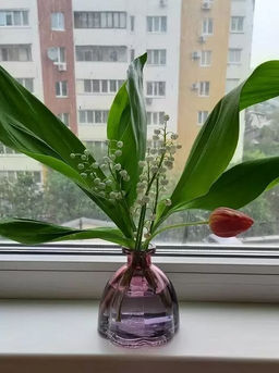 Ваза стекло Y6-10003 настольная, 11х10 см (462431) /DANIKS/  фото 3