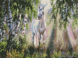 Вышивка крестиком 40х50см, Белая лошадь