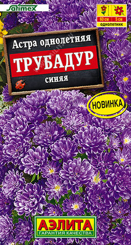 Астра Трубадур синяя