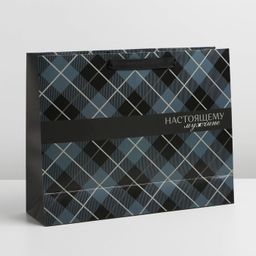 Пакет подарочный ламинированный, упаковка, «Man», L 40 х 31 х 11.5 см