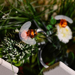 USL-S-127/PT4000 BEES Садовая гирлянда на солнечной батарее Пчелки. 20 светодиодов. Теплый белый свет. 1*АА Ni-Mh аккумулятор в/к. IP44. TM Uniel. - Volpe фото 7