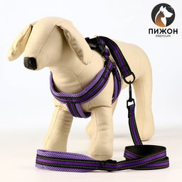 Комплект амуниции светоотражающий с мягкими шлейкой и ручкой, поводок 120 х 2 см, ОШ 25-72 см, фиол