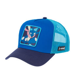 Бейсболка CAPSLAB арт. CL/PKM6/1/CT/GRE Pokemon Greninja (синий / темно-синий)