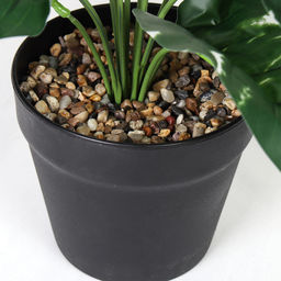 Цветочная композиция Сциндапсус 40 см / ZH-009 /уп 48/ - Галеонтрейд фото 8