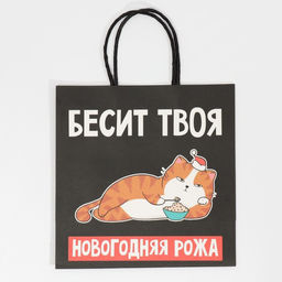 Пакет подарочный новогодний «Рожа», 22 х 22 х 11 см