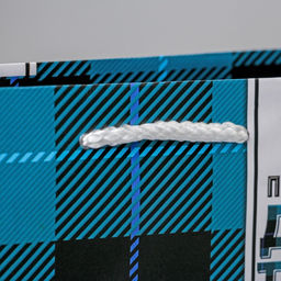 Пакет ламинированный Real man, MS 18 х 23 х 8 см - Доступные радости фото 8