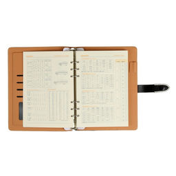 Органайзер на кольцах А5, 90 листов в линейку, с хлястиком, МИКС - Calligrata фото 16