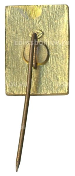 Значок Друскининкай