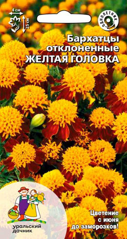 Бархатцы ЖЁЛТАЯ ГОЛОВКА