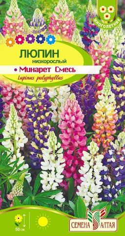 Цветы Люпин Минарет/Сем Алт/цп 0,3 гр. многолетник (2029 / 42681)