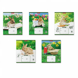 Цена за 10 шт. Тетрадь школьная ученическая ErichKrause Кролики, 12 листов, клетка (в плёнке по 10 шт.)_MIX-PACK  фото 2