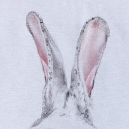 Постельное бельё евро «Этель. Кролик», бязь