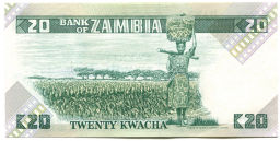 20 квача Замбия