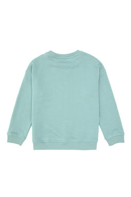 Erkek _ocuk Mint Bisiklet Yaka Basic Sweatshirt - U.s. polo assn фото 2