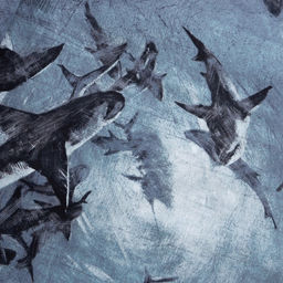 Постельное белье Этель дуэт Shark 143*215 см 2 шт,220*240 см,70*70 см 2 шт, бязь  фото 9