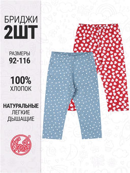 2бриджей 2ДБР5717001н