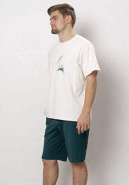 ШОРТЫ МУЖСКИЕ арт. 6523M-45041.4H-718