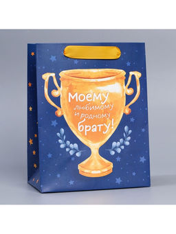 Пакет ламинированный вертикальный Брату, MS 18 23 10 см - Дарите счастье фото 7